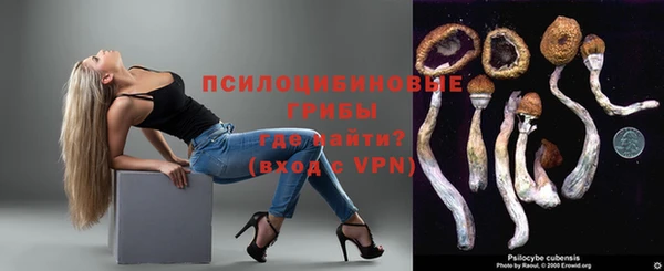 эйфоретик Куйбышев