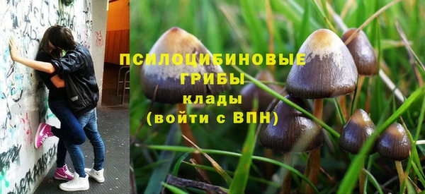 соль ск Кулебаки