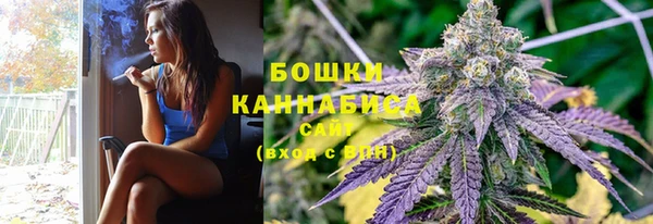 соль ск Кулебаки