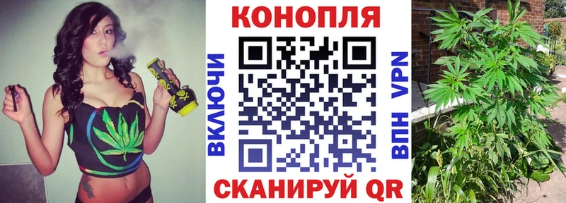 купить наркотик  Сенгилей  Конопля марихуана 